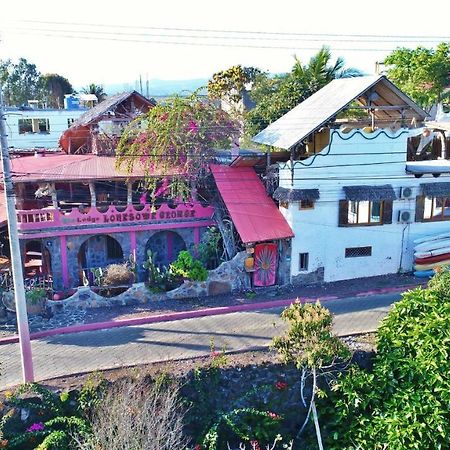 Lonesome George Ecolodge Puerto Ayora  Εξωτερικό φωτογραφία