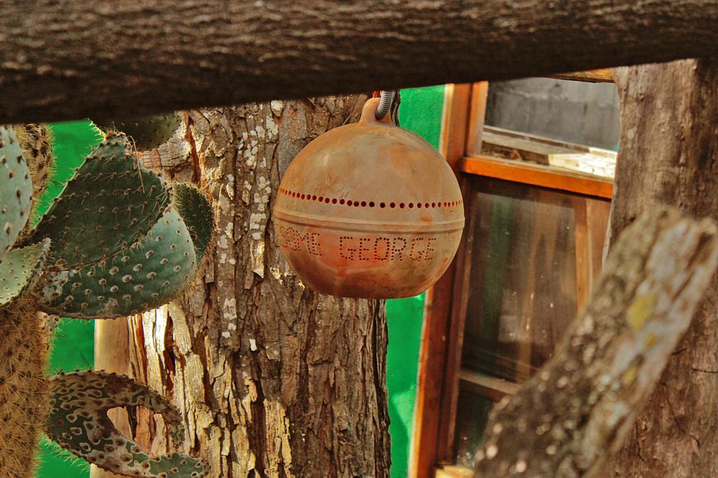 Lonesome George Ecolodge Puerto Ayora  Εξωτερικό φωτογραφία