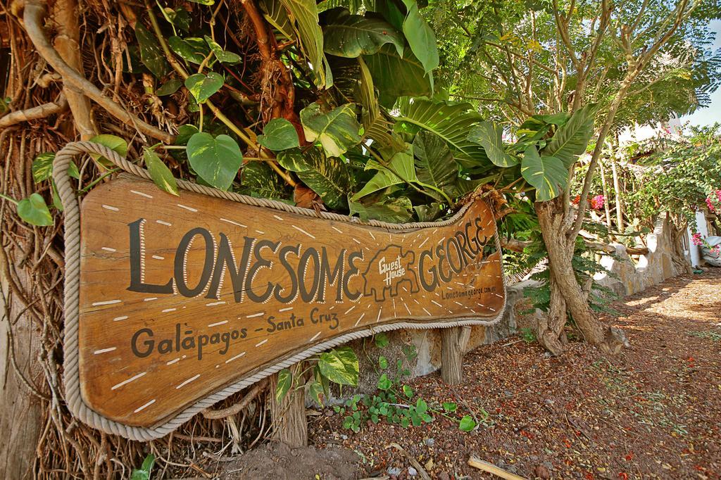Lonesome George Ecolodge Puerto Ayora  Εξωτερικό φωτογραφία