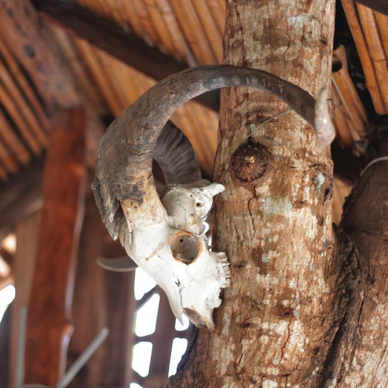 Lonesome George Ecolodge Puerto Ayora  Εξωτερικό φωτογραφία