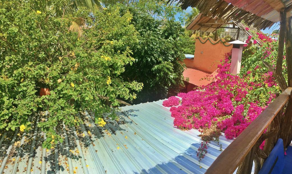 Lonesome George Ecolodge Puerto Ayora  Εξωτερικό φωτογραφία